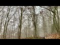 Foret de corret et cabane de jasse pratmau   1080p