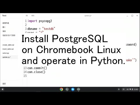 Install PostgreSQL on Chromebook Linux and operate in Python