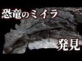 【ゆっくり解説】完璧な恐竜ミイラ！ミイラの保存に迫る！！