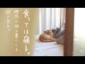 猫みたいな暮らしをしてみたい