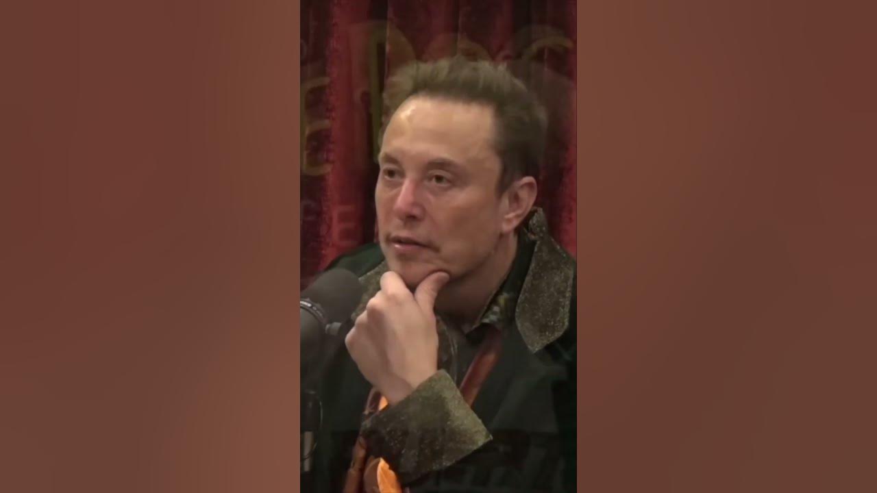 Elon Musk On The Dangers of AI: Extinctionists' Risk to Humanity - YouTube
