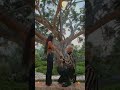 Megan Fox Proposed To By Machine Gun Kelly 