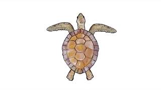 Green Sea Turtle Swimming Watercolor 2D Animation