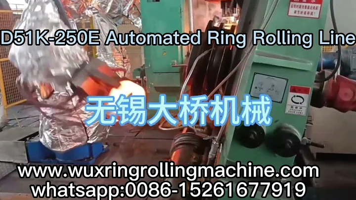 D51K-250E Automated Ring Rolling Line
