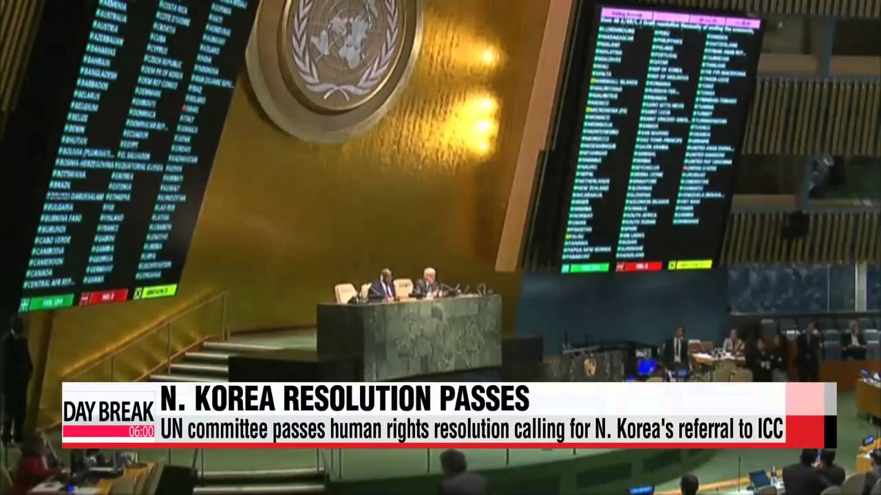 UN committee passes human rights resolution calling for N. Korea′s referral to I