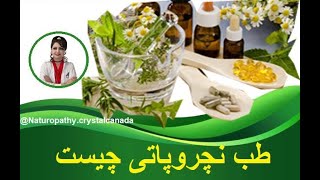 طب نچروپاتی و پزشکی گیاهی چگونه به شما کمک می کند ؟