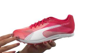 puma evospeed distance v6