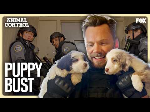 The Precinct Will Stop At Nothing To Save These Puppies | Animal Control