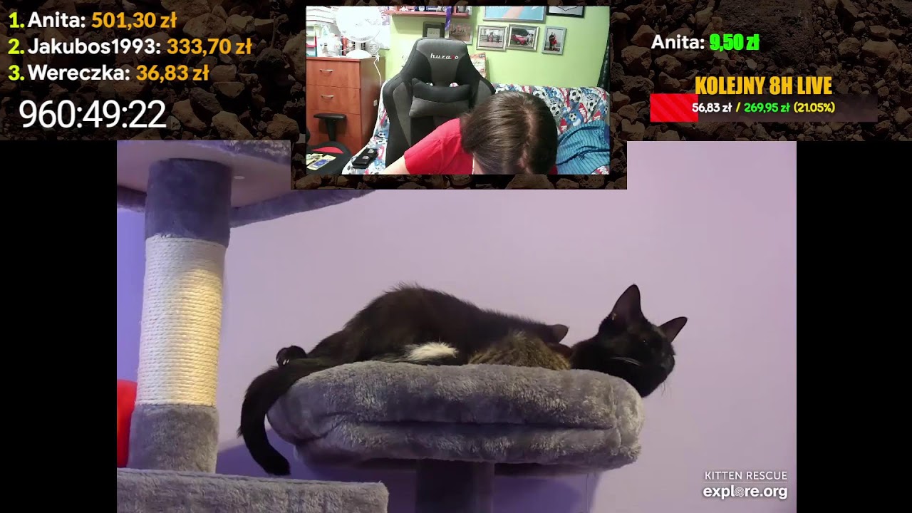 Kiteny i smoczek (prawie koniec)