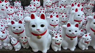 Gotokuji Temple Setagaya Tokyo Temple Birthplace Maneki Neko The beckoning Cat Figurine Japan