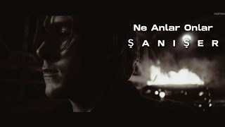 Şanışer - Ne Anlar Onlar ( Klip Stay ) lyrcs