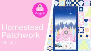 Homestead Patchwork ~ Block 9