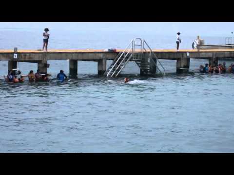 Will dolphin belly ride.MOV