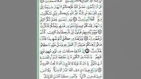 صفحة/٣٩٤/ رواية ورش عن نافع/ سورة القصص/ ابو النور الهادي