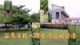 1030529洗衣機有皂垢怎麼清
