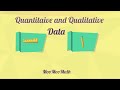 Identifying Quantitative And Qualitative Data Through Real-World Examples