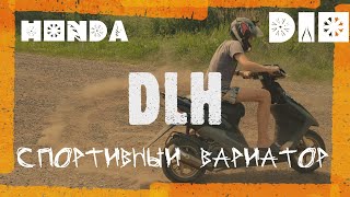 : HONDA DIO,   DLH!!!   ???