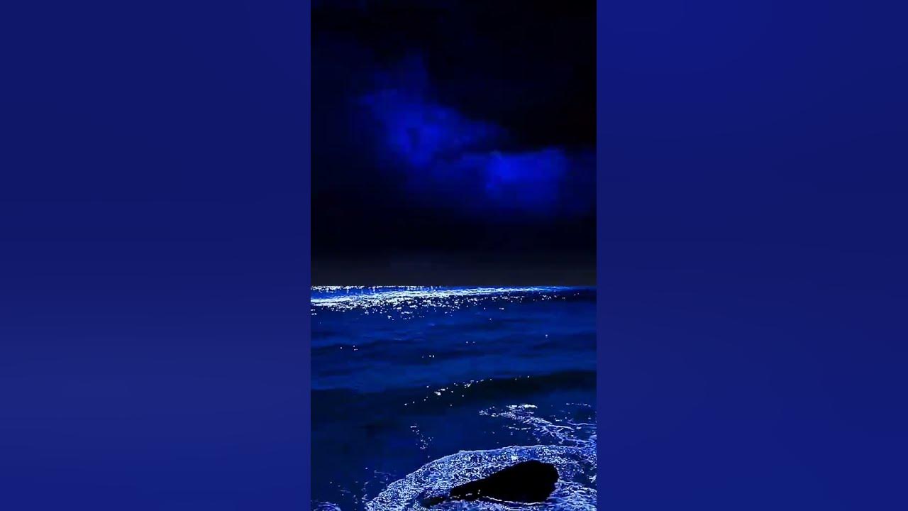 Ночной шум моря. Моря тихого океана. Шум волн для сна видео 50 минут. Ночной шум моря. Шум моря делает нас живыми.