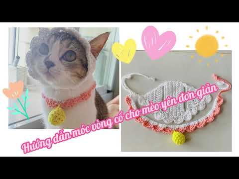 Video: Cách đan Chăn Cho Mèo