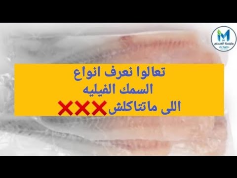 فيديو: هل سمك فيليه جيد؟