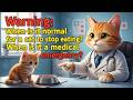 warning when is it normal for a cat to stop eating when is it a medical emergency
