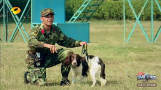 《奇兵神犬》精彩看点：沙溢cut：沙师兄倾情出演《舌尖上的犬粮》 Dog Partner【湖南卫视官方频道】