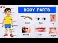 Body parts  parts of body for with spelling  learn body parts  basic study  body parts name