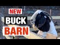 New Buck Barn