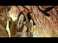 Nordic/Viking Music - Hrafnaguð (The Raven God)