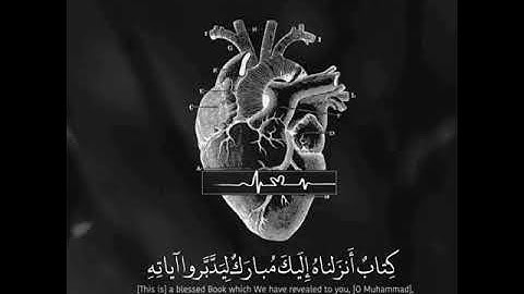 تلاوة رائعة || كتاب أنزلناه إليك مبارك ليدبروا آياته || حالات واتس قرأن || Quran Status 💙