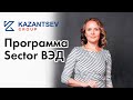 Программа Sector ВЭД