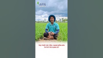 APN - Trụ Thép cải tiến + Nano kẽm APN có tác dụng gì? #shorts #kỹ_thuật_canh_tác_lúa