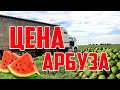 Цена арбуза на 20 07 20