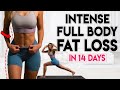 INTENSE FULL BODY FAT LOSS in 14 Days (no jumping) | 10 min Workout