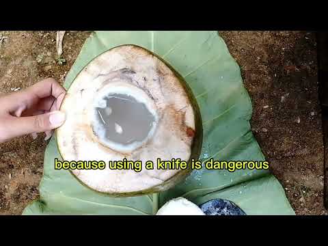 Es Kelapa Muda In English