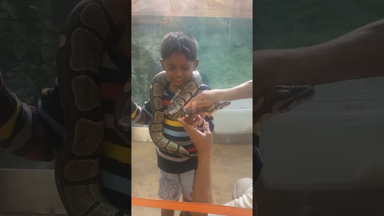 brave moments Snake🐍 