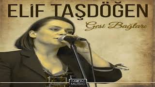 Elif Taşdöğen - Gesi Bağları Resimi