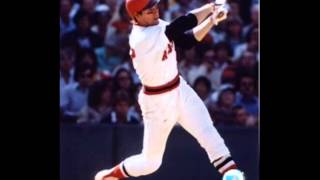 Carlton Fisk Jersey