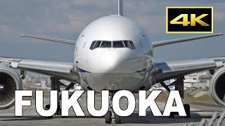 [4K] Wave Hand from Cockpit! 26 Jets & Props - Plane Spotting at Fukuoka Airport [FUK/RJFF] / 福岡空港