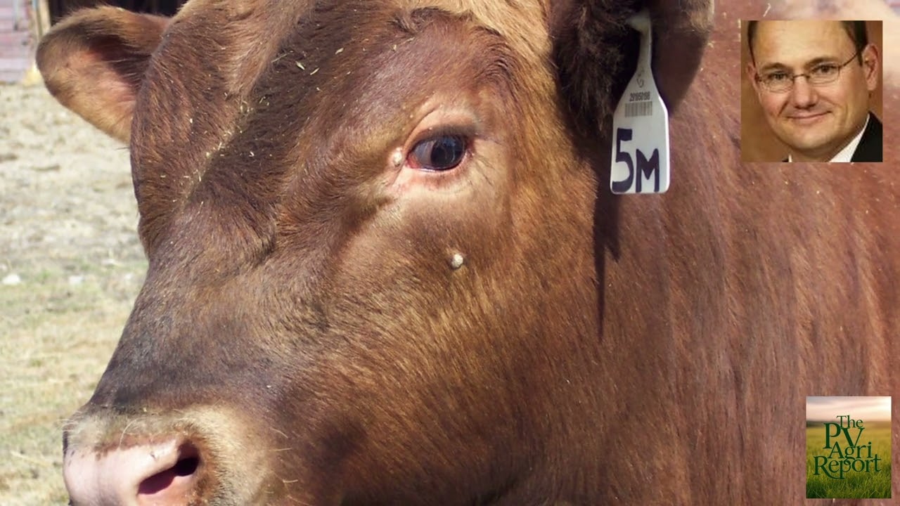 Grassroots Solutions for Food Security: Empowering Communities Amid Challenges