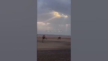 علي جابر | تلاوة خاشعة من سورة فصلت عام 1408هـ ﴿ومن آياته الليل والنهار والشمس والقمر...﴾.#قران_كريم