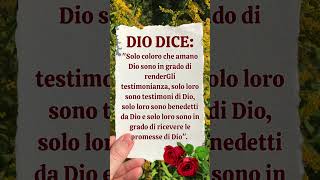 Il diavolo vuole che tu scorra via senza dire: “Io amo Gesù.”