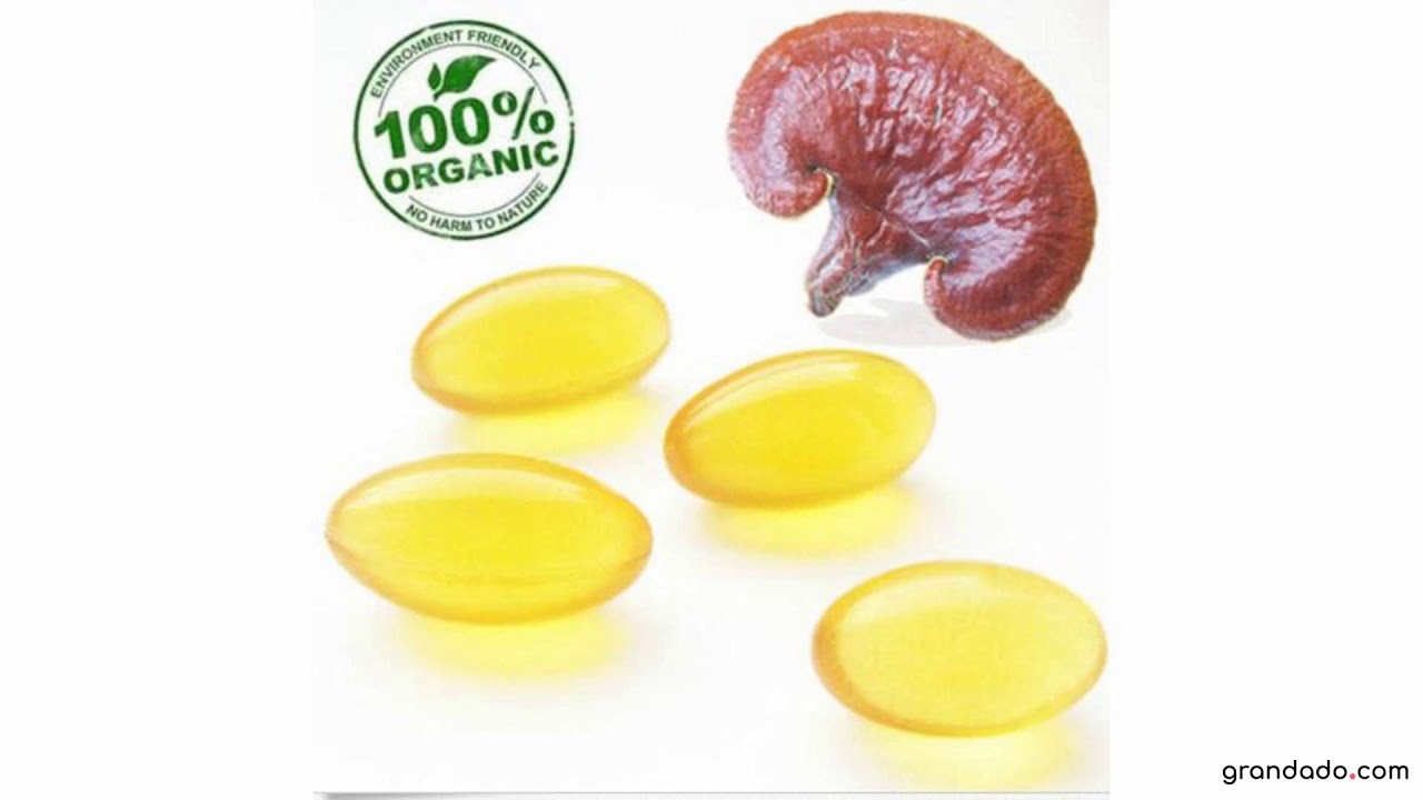 High Triterpenes Ganoderma Spore Oil Reishi Spore Oil Softgel For Liver