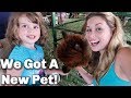 WE WON A PET AT THE FAIR!