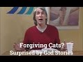 Forgiving Cats