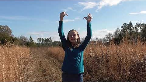 Battle Belongs by Phil Wickham performed in ASL by Jolin