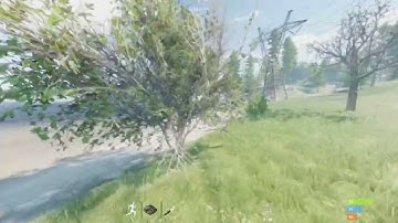 Rust scientist bug #1