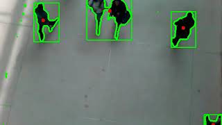 pedestrian detection background subtraction