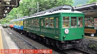 箱根登山鉄道100形“3色編成”～2019年あじさい電車～