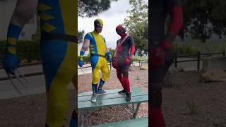 Deadpool And Wolverine Spooder Deadpool And Wolverine Marvel Animation